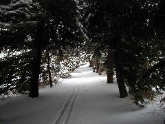 FLCC hike; day trips snow