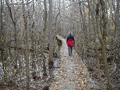 Ruth Bennett McDougal Dorrough; Hiking Day Trips FLCC