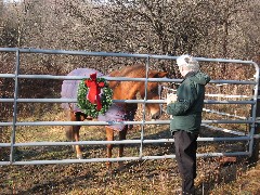 Ruth Bennett McDougal Dorrough; feeding the horse an apple; Hiking; Day Trips; Genesee Valley Greenway