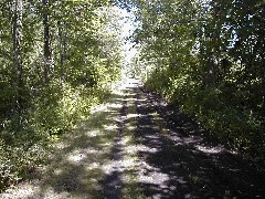 Hiking Day Trips Genesee Valley Greenway