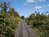 Hiking Day Trips Genesee Valley Greenway