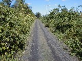 Hiking Day Trips Genesee Valley Greenway