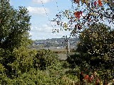 Hiking Day Trips Genesee Valley Greenway