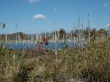 Hiking Day Trips Genesee Valley Greenway