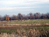 Hiking Day Trips Genesee Valley Greenway horses