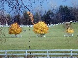 Hiking Day Trips Genesee Valley Greenway