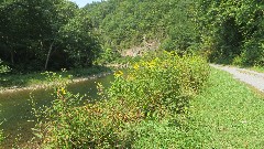 Greenbrier River Trail, WV