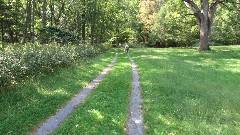 Greenbrier River Trail, WV