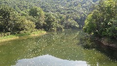Greenbrier River Trail, WV