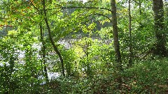 Greenbrier River Trail, WV