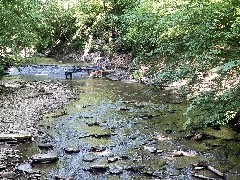Grimes Glen; Naples, NY