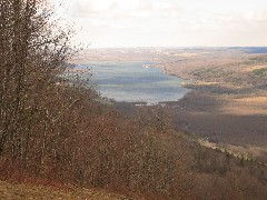 Hiking; Day Trips; Harriet Hollister State Park