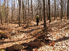 Lyn Jacobs; Hiking; Day Trips; Harriet Hollister State Park