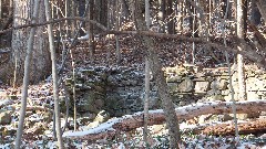 Hemlock Lake; old foundation