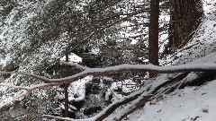 Hemlock Lake