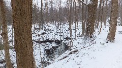 Hemlock Lake