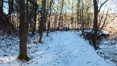 Hemlock Lake