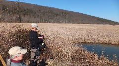 Ruth Bennett McDougal Dorrough; Lyn Jacobs; Hemlock Lake