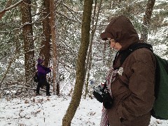 Lyn Jacobs; Ruth Bennett McDougal Dorrough; Hemlock Lake