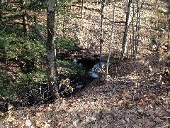 Hemlock Lake