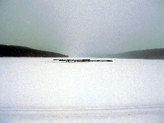 Hiking; Day Trips; Hemlock Lake; Geese