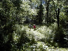 Lyn Jacobs; Ruth Bennett McDougal Dorrough; Hiking Day Trips Hemlock Lake save