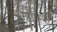 bridge; Hi-Tor, NY