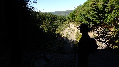 Ruth Bennett McDougal Dorrough; Hi-Tor- near the gully, NY