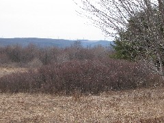 Hiking; Day Trips; Hi-Tor; Windmills