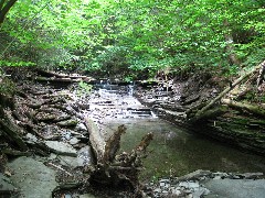 Conklin Gully; Hi-Tor