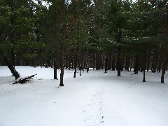 Lyn Jacobs; Ruth Bennett McDougal Dorrough; Hiking; Day Trips; Hi-Tor