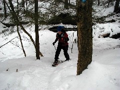 Lyn Jacobs; Hiking Day Trips Hi-Tor