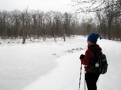 Lyn Jacobs; Hiking Day Trips Hi-Tor