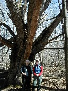 Ruth Bennett McDougal Dorrough; Lyn Jacobs; Hi-Tor; old tree