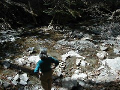 Ruth Bennett McDougal Dorrough; Day Hi Hiking Tor Trips Hi-Tor