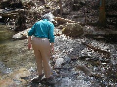 Ruth Bennett McDougal Dorrough; Day Hi Hiking Tor Trips Hi-Tor