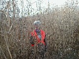 Ruth Bennett McDougal Dorrough; Hiking Day Trips Lehigh Valley Trail