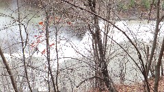 Letchworth Park; Water Falls