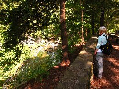 Lyn Jacobs; Letchworth Park