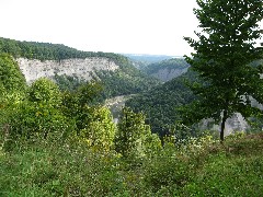 Letchworth Park