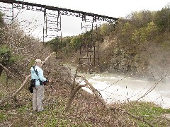 Ruth Bennett McDougal Dorrough; railroad bridge; Letchworth Park; north or Portageville