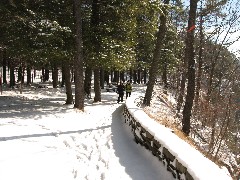 Ruth Bennett McDougal Dorrough; Lyn Jacobs; Hiking; Day Trips; Letchworth Park