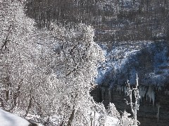 Hiking; Day Trips; Letchworth Park; ice trees