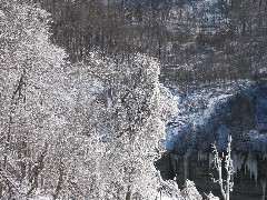 Hiking; Day Trips; Letchworth Park; ice trees