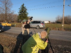 LyndonVille Day Trips Hiking Northern Hawk Owl