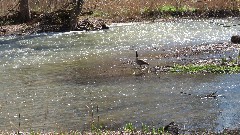Manchester Gateway Trail