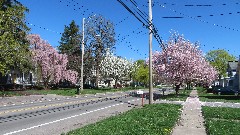 Manchester Gateway Trail