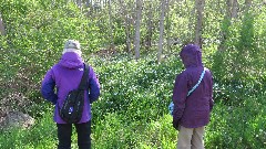 Manchester Gateway Trail
