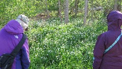Manchester Gateway Trail