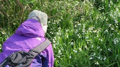 Manchester Gateway Trail
